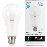 Лампа Gauss LED Elementary A67 30W E27 2360lm 4100K